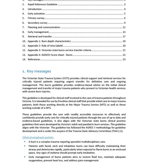 Burns Guideline PDF